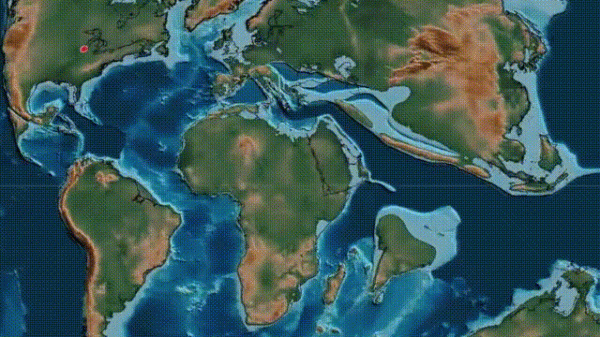 液體貓咪之謎：為什麼說貓都是液體？這竟然是被證明過的科學結論