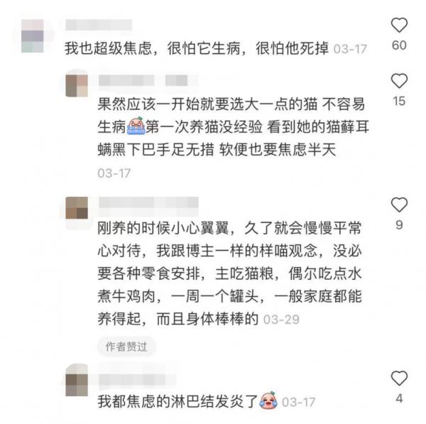 自從接了一隻貓回家,我焦慮到脫髮、失眠、心跳加速... 自從接了一隻貓回家,我焦慮到脫髮、失眠、心跳加速...