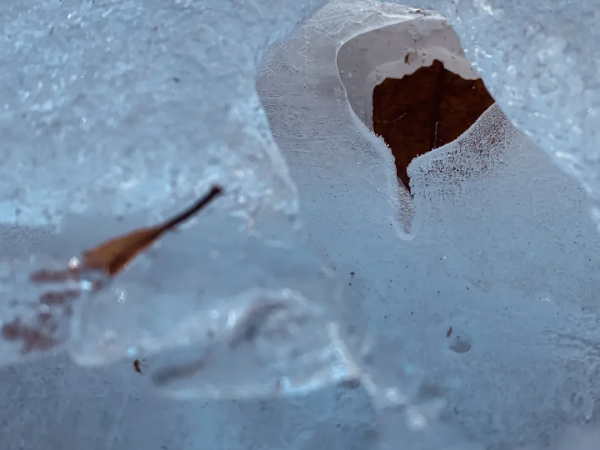 雲遊時光||來自山葉口的一封信