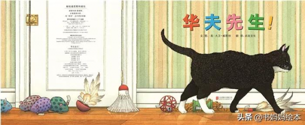 貓咪主題繪本推薦｜和孩子一同開啟喵星人的世界