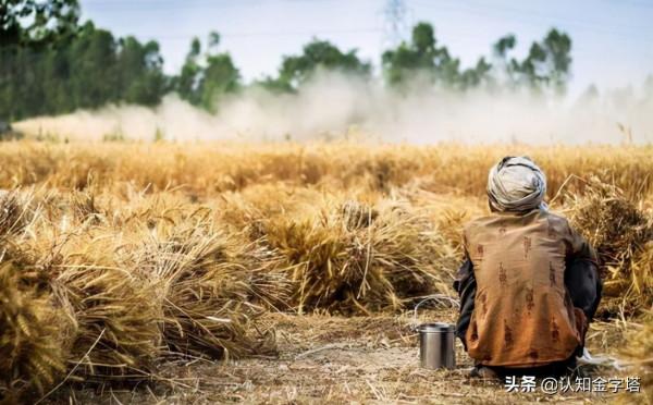 能源危機後遺症，糧價將暴漲？全球陷糧食危機，中國能否應對？