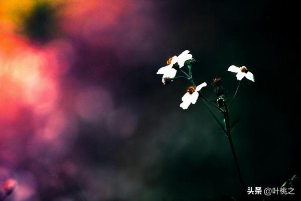 如果你感覺撐不下去了，不妨看看凌晨的朋友圈