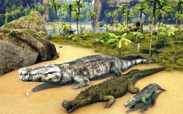 鱷魚家族有多倒黴？努力了兩億年，總是在馬上稱霸地球時被針對