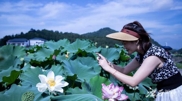 石城丨走進大畲村