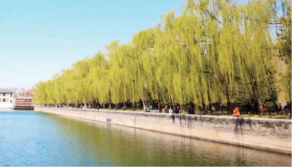 1420年的那個冬天，姍姍來遲的紫禁城揭開了面紗