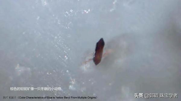 來看看海藍寶石的另一面吧