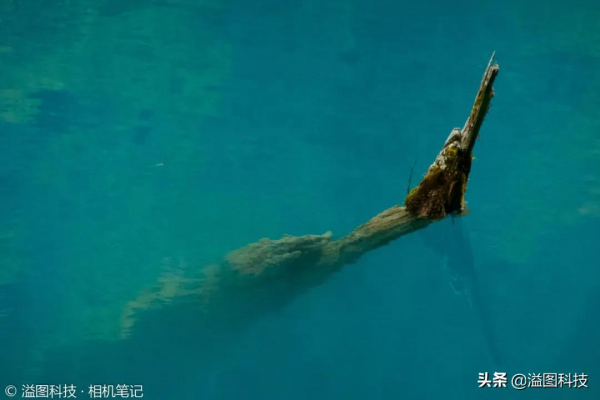 聊一聊同尺寸最強的長焦卡片機