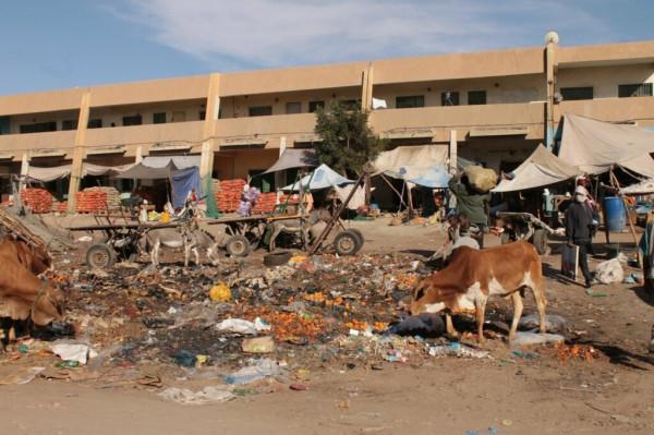 漫步茅利塔尼亞市場,感受非洲的輝煌 漫步茅利塔尼亞市場,感受非洲的輝煌