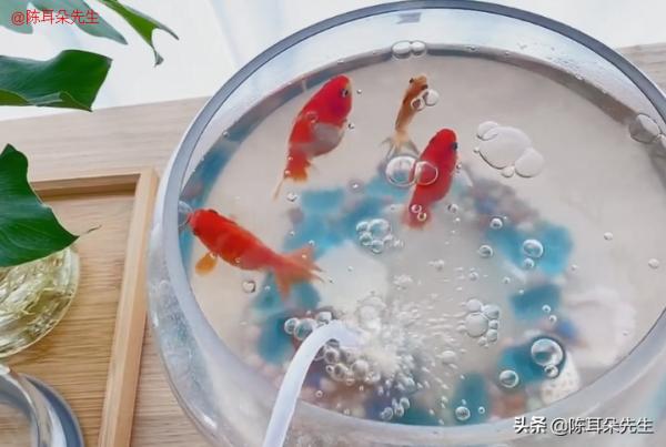 小艾阿姨一個人在家，吃好吃的壽司，貓咪很乖很聽話