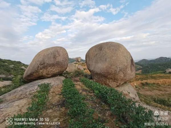 朋友圈2021年第31期