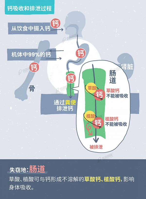 補鈣不注意這4點，喝再多牛奶都沒用