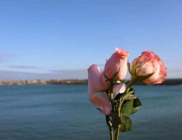 裝傻說起來有點傻,其實很聰明!有些星座,很聰明,卻藏得很深 裝傻說起來有點傻,其實很聰明!有些星座,很聰明,卻藏得很深