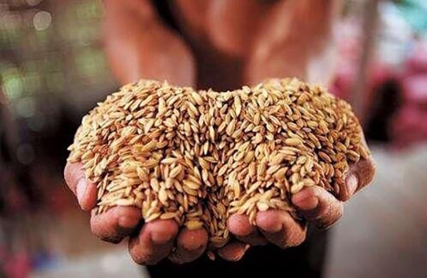 2000年，一農民直言不諱向總理傾訴煩惱，朱鎔基：我比你還急呀