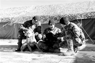 西北向西：和喀喇崑崙一起&OpenCurlyDoubleQuote;迎春&rdquo;