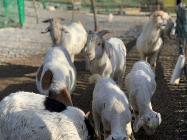 田園自然樂趣多、親子出遊新時尚 田園自然樂趣多、親子出遊新時尚