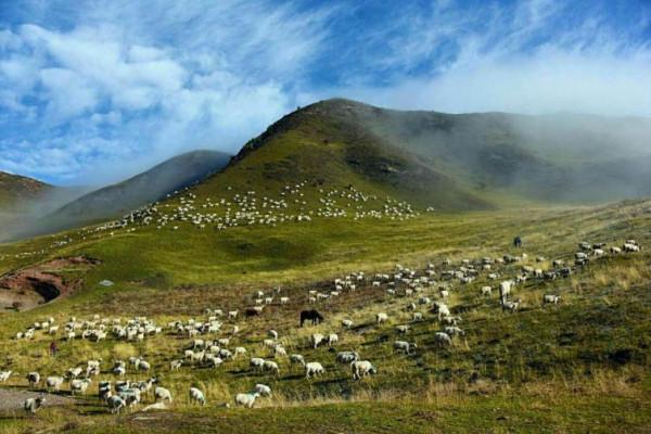 青海自駕遊都有哪些人少景美的景點推薦
