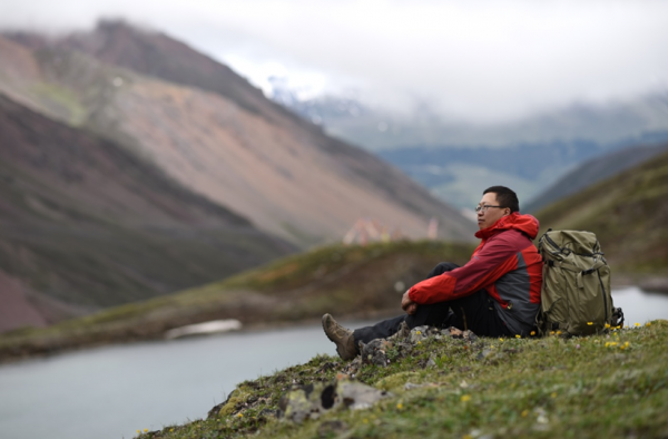 「雲南生物多樣性數字化百科圖譜」網蝽:林間身披琉璃華裳的仙子 「雲南生物多樣性數字化百科圖譜」網蝽:林間身披琉璃華裳的仙子
