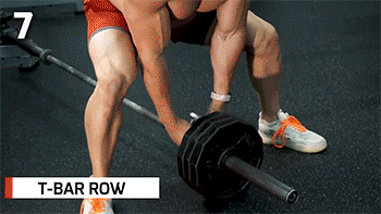 辰亦儒40歲狀態太好了!背肌夾萬物是這麼練成來的 辰亦儒40歲狀態太好了!背肌夾萬物是這麼練成來的