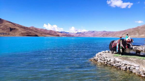 2021年10月21日，秋季的羊湖是很美的