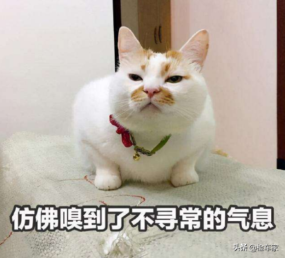 9萬塊買輛12年的法系跑車，小哥上來就砍價1萬，賣家：成交