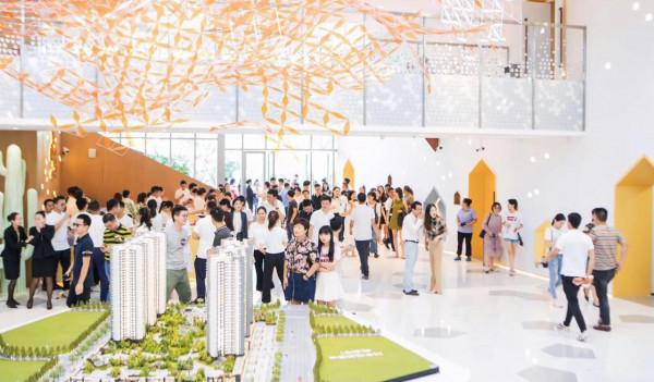 昨天，樓市又迎利好