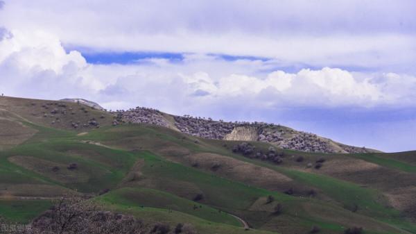 超出你想象的空中草原