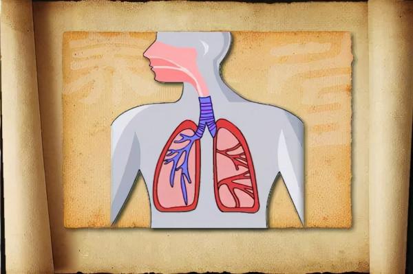 愛長乳腺、甲狀腺結節的痰溼體質，中醫該如何調理？今天給你講清