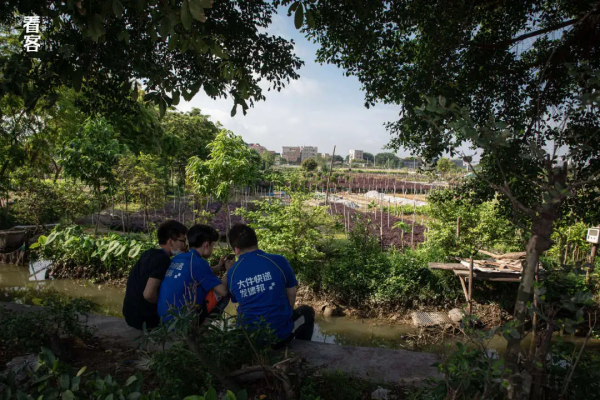 我在全國最大的物流分揀場，上了300個夜班