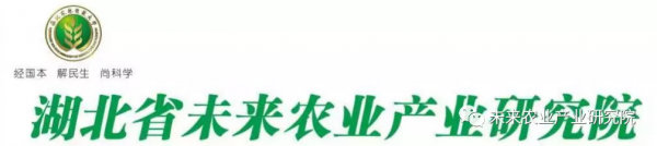 農高會系列報道四 農業也時尚 農高會系列報道四 農業也時尚