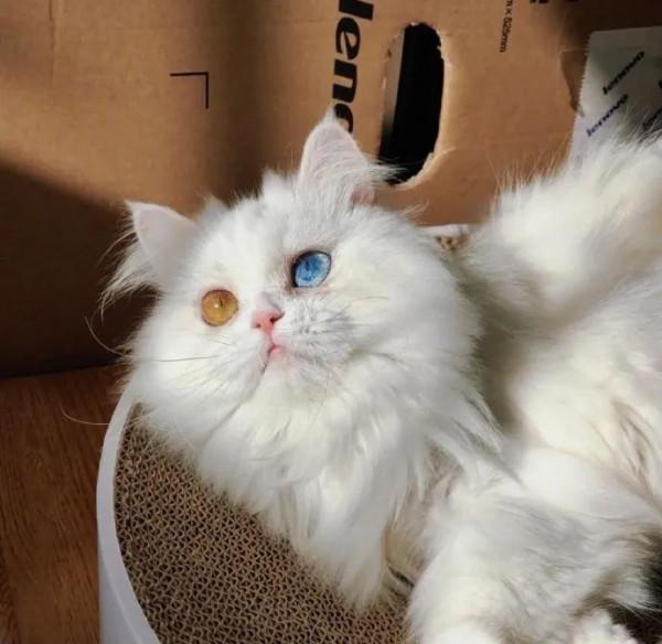 去新疆旅遊的第一天和第七天