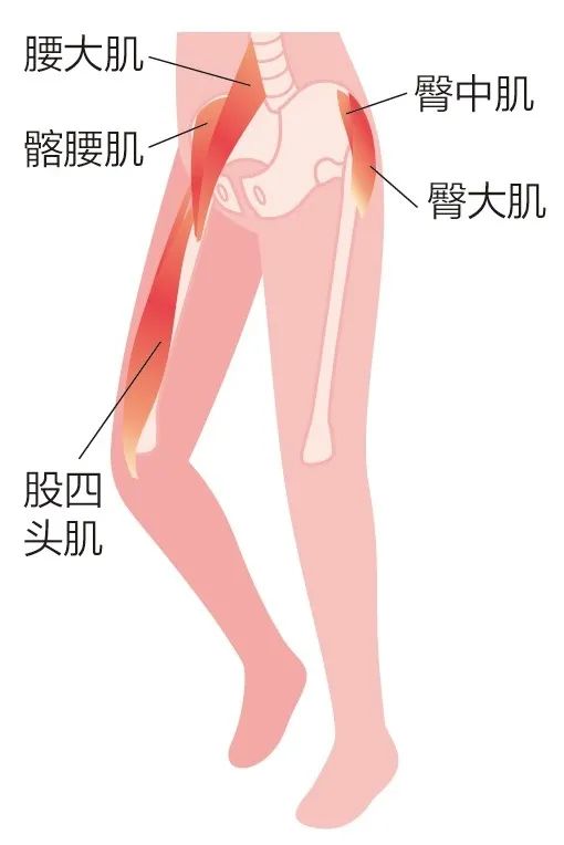 「慢跑」更容易瘦下來!究竟多慢才有利於健康? 「慢跑」更容易瘦下來!究竟多慢才有利於健康?