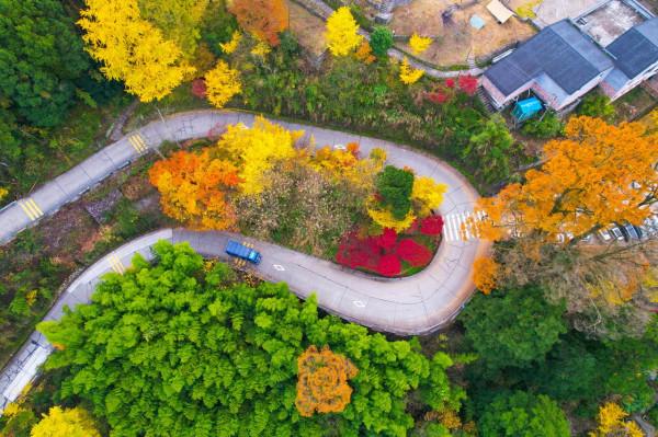 堵車、堵車、堵車，這個古村憑什麼讓遊客步行三公里入村？