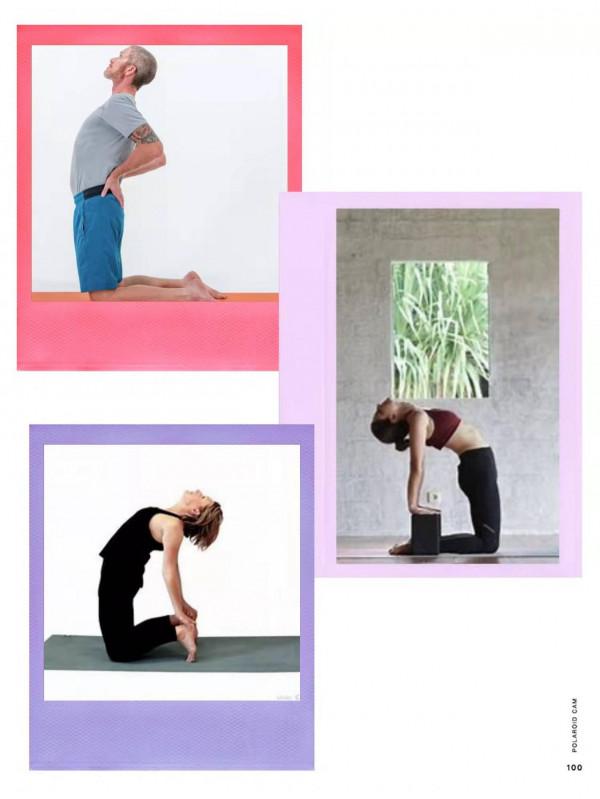 體式精講：駱駝式