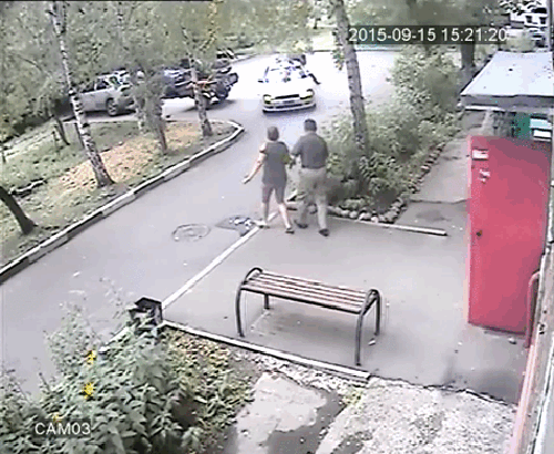 90個神奇照片，剛出生的小刺蝟，大白鯊的驚人尺寸，水上麻將桌椅