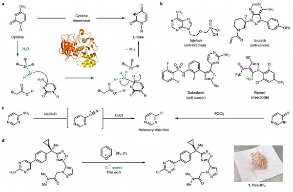 氨基雜環的脫氨氯化