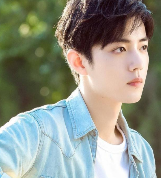 肖戰被央視相中，也準備考編制，難道宇宙的盡頭真的是編制