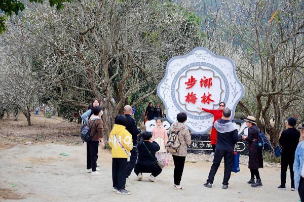 四甲河畔,“梅”好之約——開啟河頭步郎的賞梅之旅 四甲河畔,“梅”好之約——開啟河頭步郎的賞梅之旅