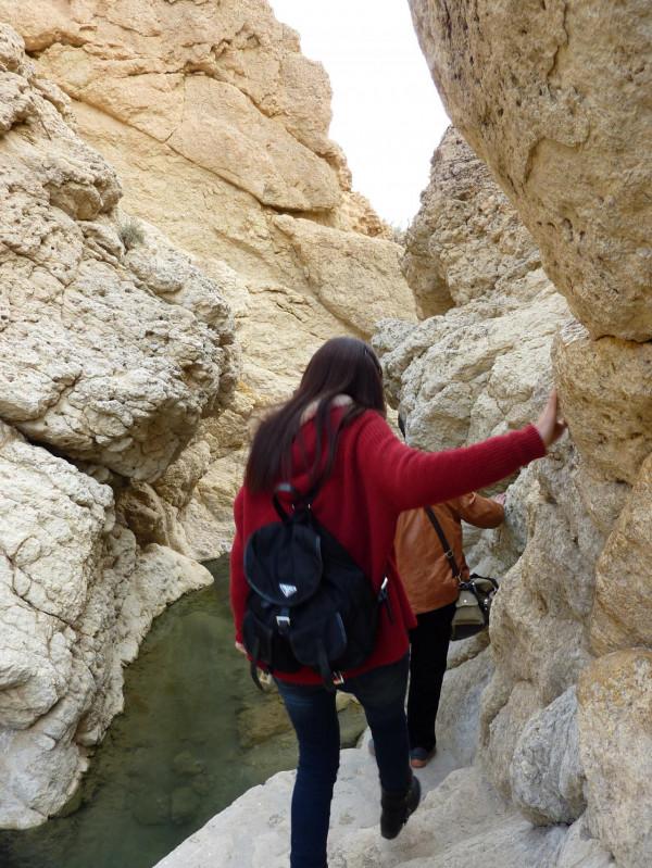 「突尼西亞2014」託澤尓（一）&mdash;&mdash;沙漠中的綠寶石