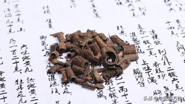 郝大夫說厚朴：理氣化溼通中焦，行氣解鬱平肝逆