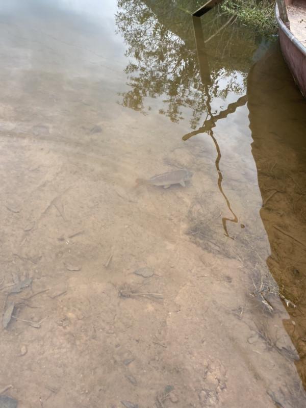 「秋釣」升鍾湖垂釣，改變線組，漁獲滿倉