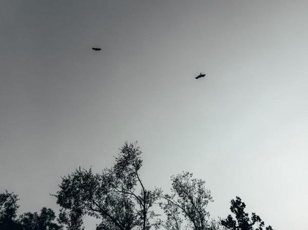 Redmi Note 11 Pro+節目的攝影作品