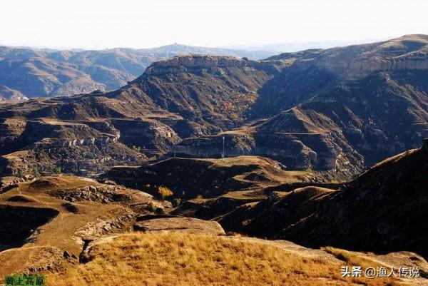 知青故事:上山放羊救了一隻狼崽,五年後回城狼群追著驢車送他們 知青故事:上山放羊救了一隻狼崽,五年後回城狼群追著驢車送他們