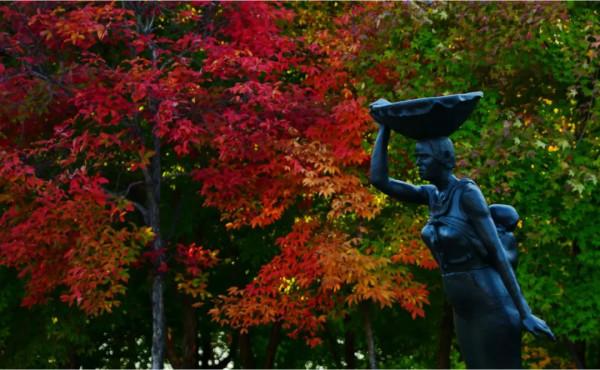 重陽節帶父母看城中最美紅葉林