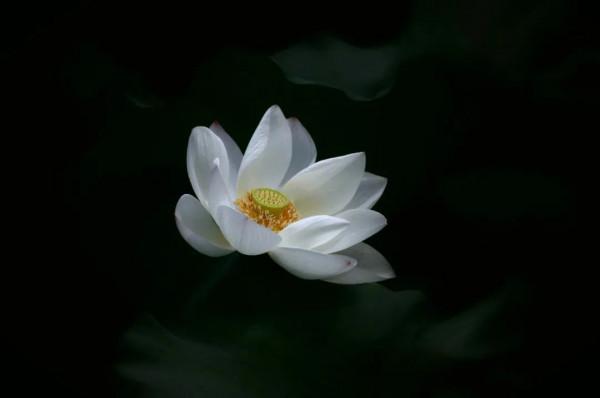 《易經》：人生最好的認知，學會自我定位