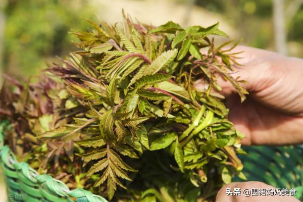 春節後，多吃這6種&OpenCurlyDoubleQuote;綠色&rdquo;蔬菜，鮮嫩好吃，清腸減脂，一身輕鬆
