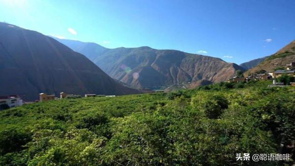 一個咖啡人的朝聖——朱苦拉 一個咖啡人的朝聖——朱苦拉