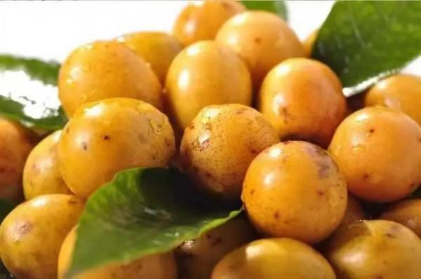 雲南的各種奇葩水果，吃法獨特，我還能叫出17種，都認識算你厲害