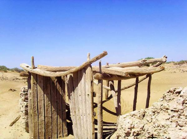 你想要來的新疆2022年是這樣的