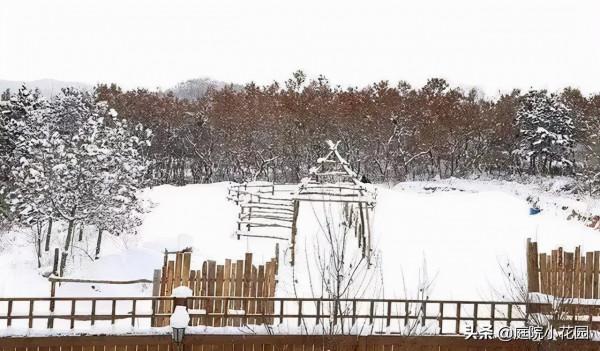 他賣掉城裡的房子，包了個山頭，打造集裝箱陽光房、小木屋、花園