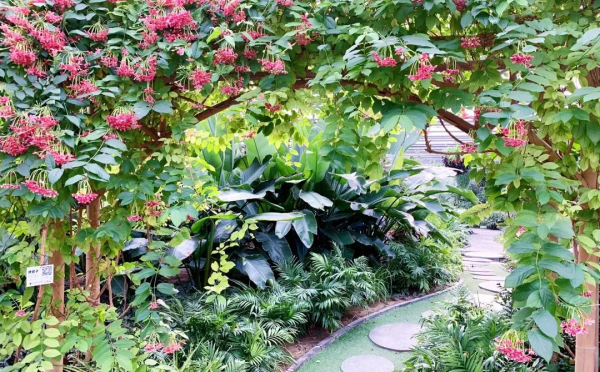 上元節，到這些地方玩點不一樣的